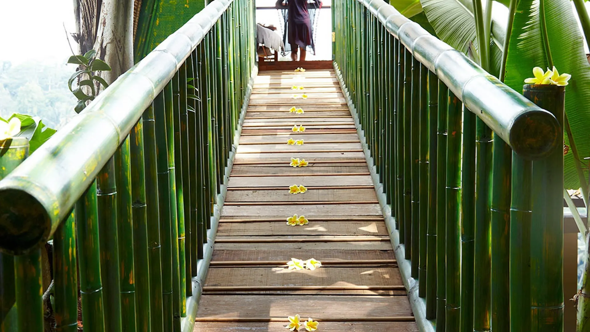 Kupu Kupu Barong Villas And Tree Spa By L'Occitane Ubud  5*, Ubud (Bali) Indonesia