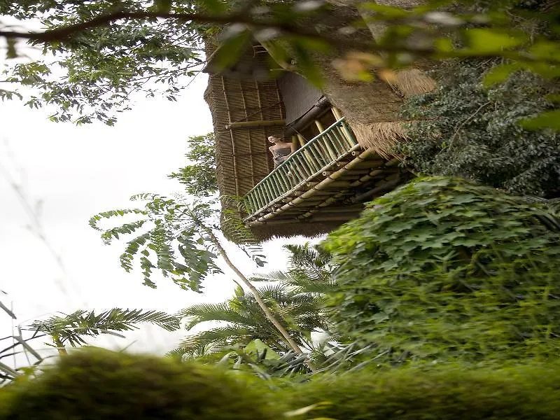 Kupu Kupu Barong Villas And Tree Spa By L'Occitane Ubud  5*, Ubud (Bali) Indonesia