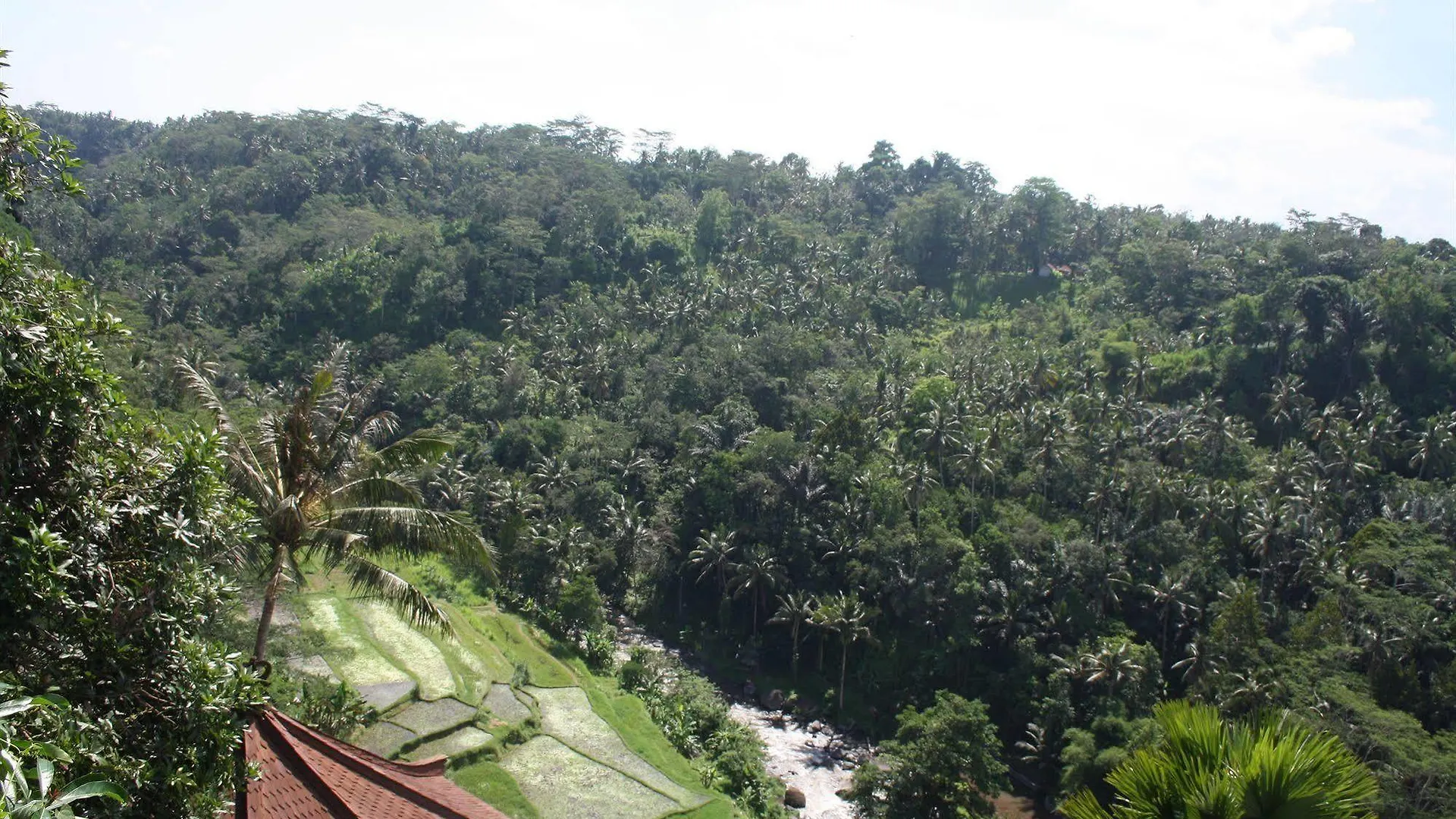Kupu Kupu Barong Villas And Tree Spa By L'Occitane Ubud Station touristique